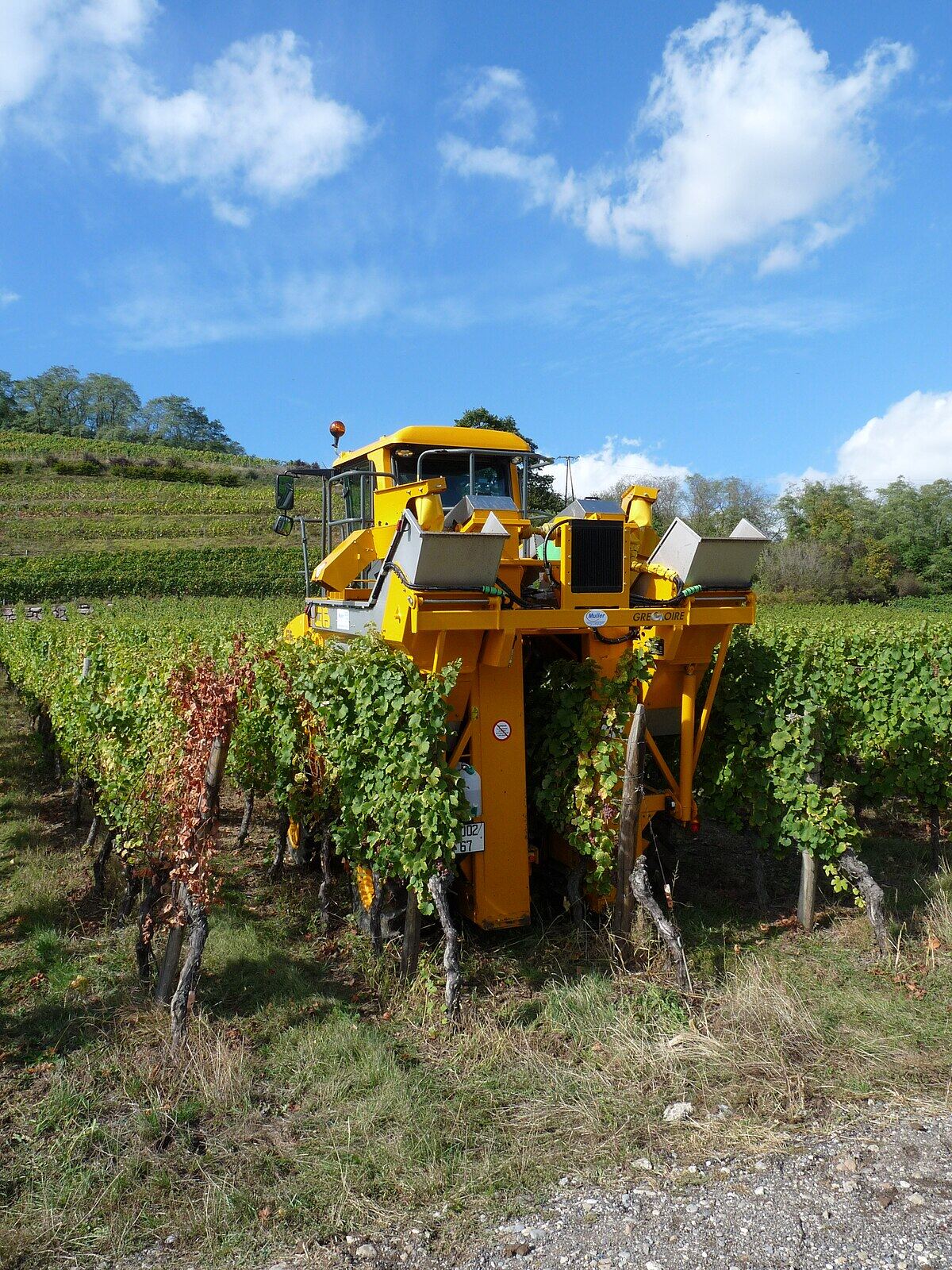 Formation Machine à vendanger –initiation - 11 & 12 sept