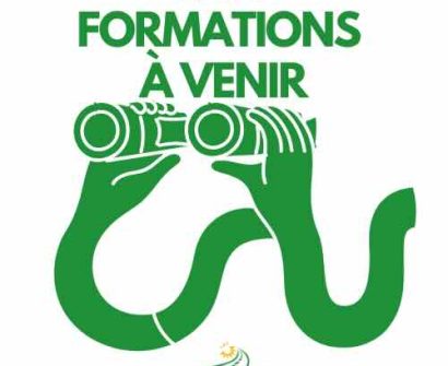 Nos formations à venir